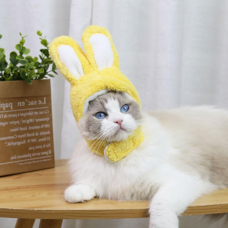RabbitHat™ - Accessoire de déguisement pour chat - Paradis du Chat