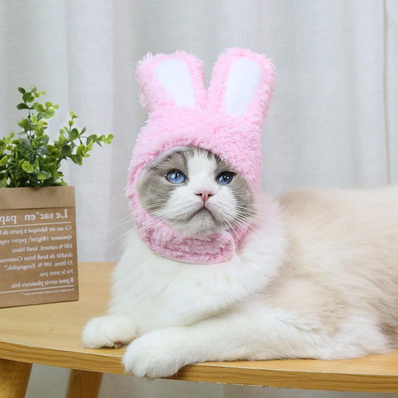 RabbitHat™ - Accessoire de déguisement pour chat - Paradis du Chat